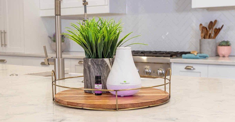 tinh dầu và máy xông tinh dầu Plant Therapy