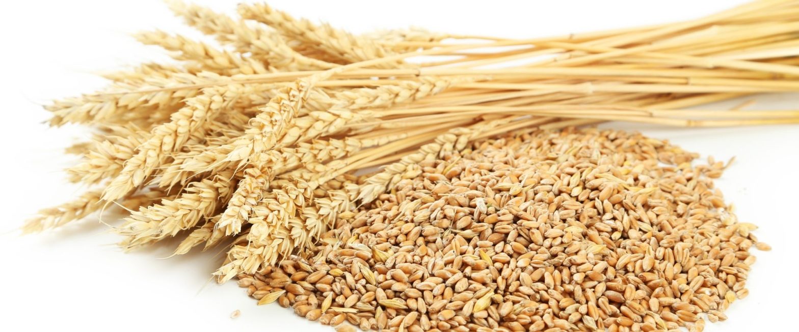 Rice Bran oil là dầu được ép từ phần cám bên ngoài của hạt gạo (Nguồn: 5second - Getty Images)